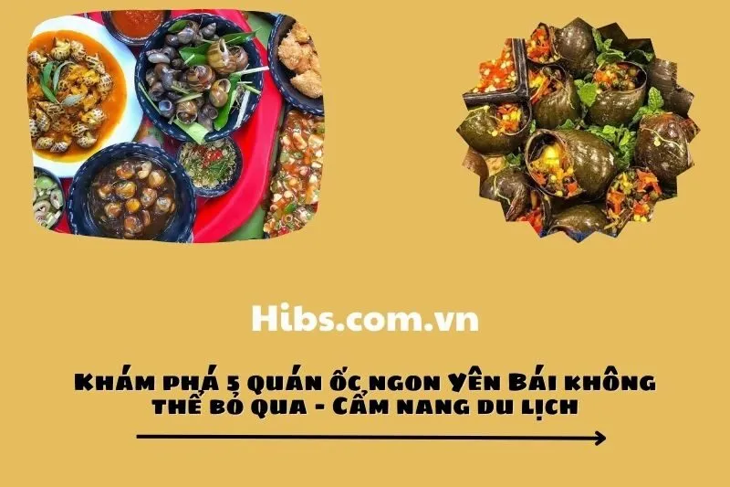 Khám phá 5 quán ốc ngon Yên Bái không thể bỏ qua – Cẩm nang du lịch